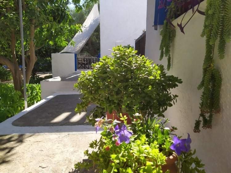 Stamoulis Apartments Kampos Marathokampou Екстер'єр фото