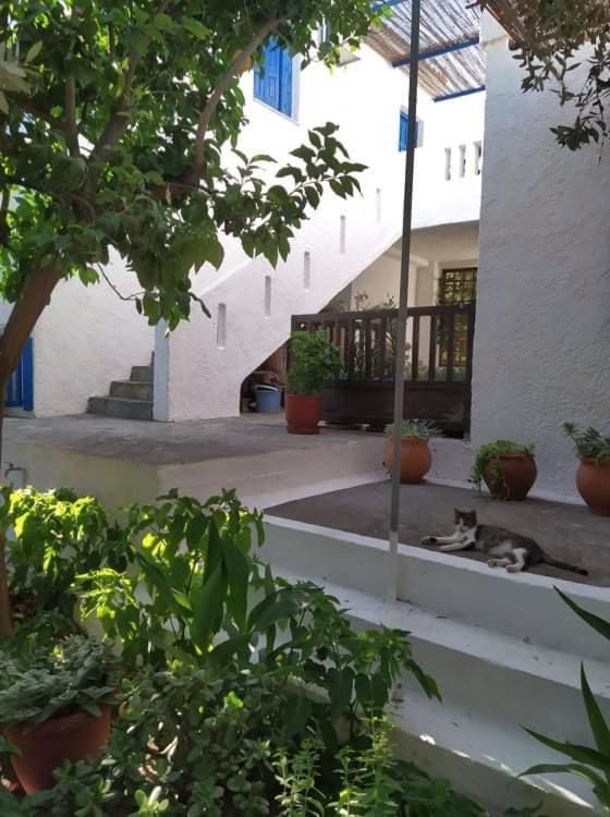 Stamoulis Apartments Kampos Marathokampou Екстер'єр фото